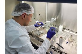 Открыт набор на обучение по программе «Получение посадочного материала плодовых и ягодных растений методом клонального микроразмножения in vitro»