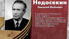 Недосекин Николай Иванович