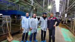 На животноводческом комплексе в Племенном заводе-колхозе «Аврора»