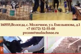 Ждем Вас в приемной комиссии Вологодской ГМХА