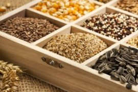 Курсы повышения квалификации 