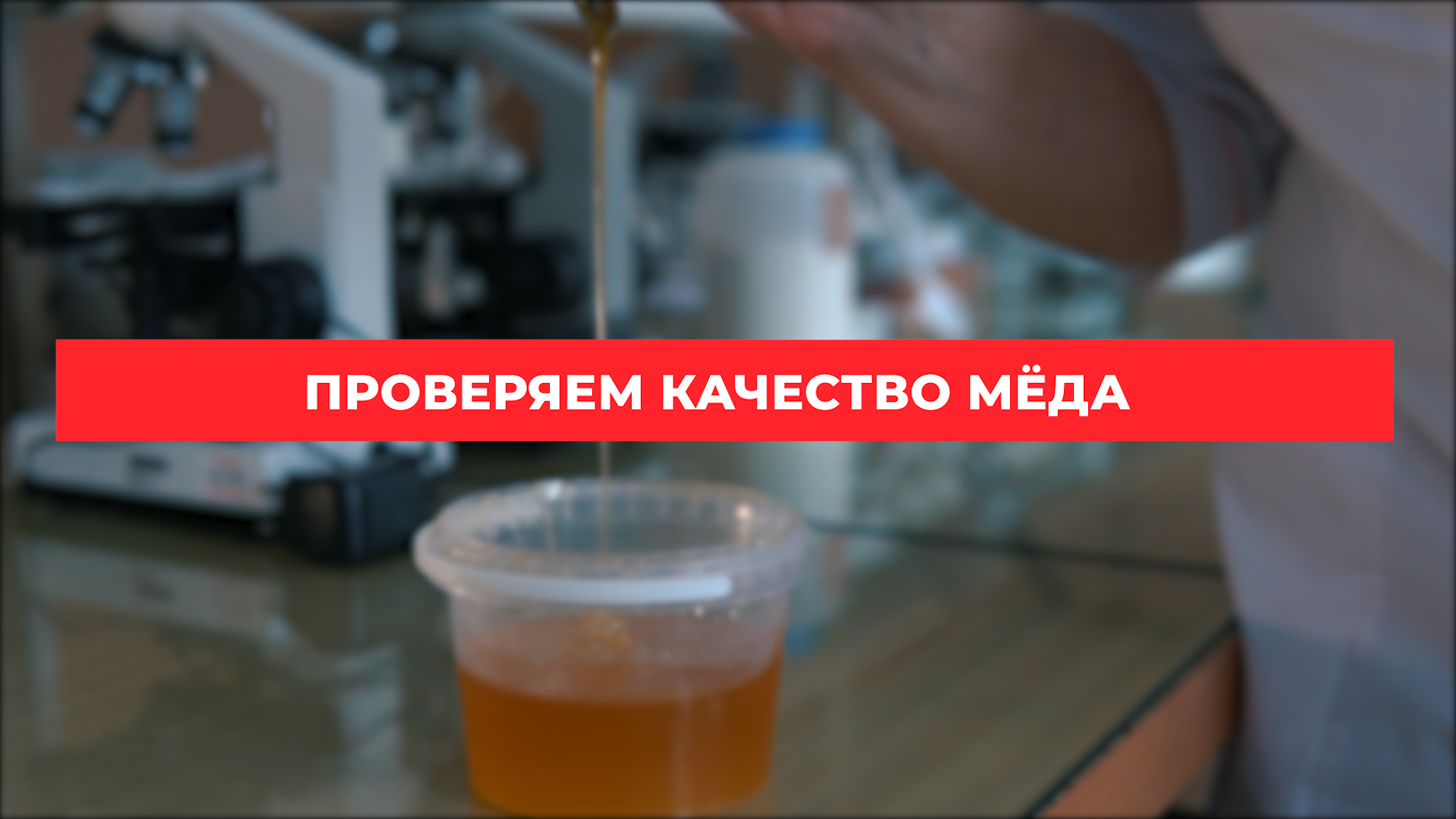 Проверяем качество меда